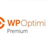 WP Optimize Premium