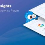 MonsterInsights Performance Addon