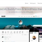 Kleo Theme
