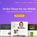 Astra Theme