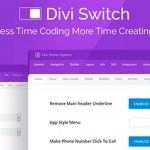 Divi Switch